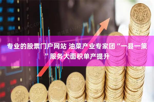 专业的股票门户网站 油菜产业专家团“一县一策”服务大面积单产提升